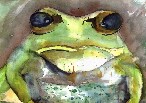 Klicken Sie auf das Vorschaubild um das Bild in voller Gr&ouml;&szlig;e zu laden