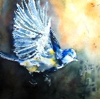 Klicken Sie auf das Vorschaubild um das Bild in voller Größe zu laden